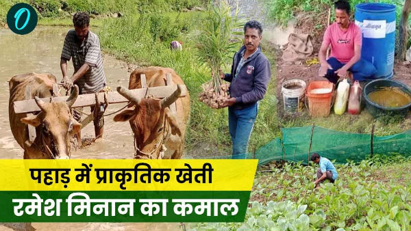 Success story farmer uttarkashi Ramesh Meenan amazing idea natural farming such everyone surprised