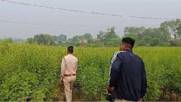 Narsinghpur Narsinghpur