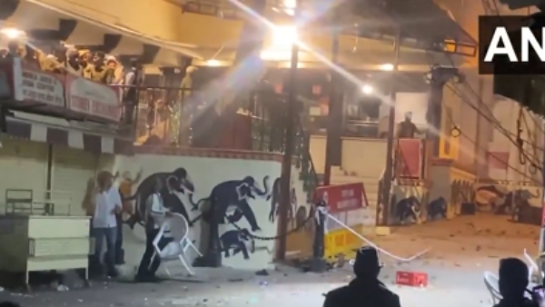 Udaipur City Palace Dispute