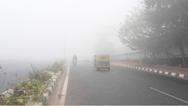MP Weather Forecast