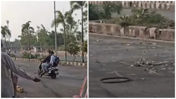 Two friends riding Activa died in a road accident while returning from a birthday party