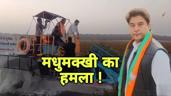 Bees target Union Minister Jyotiraditya Scindia Shivpuri Chandpatha lake incident