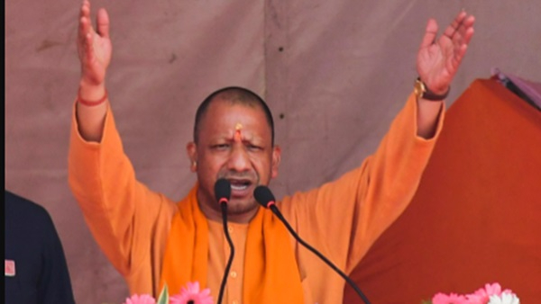 Yogi
