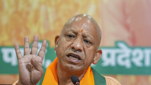 yogi