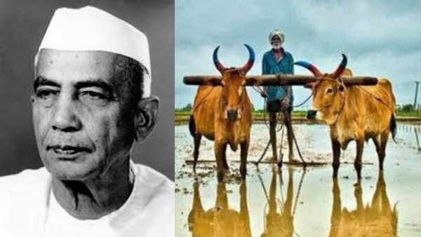 ch charan singh ch charan singh