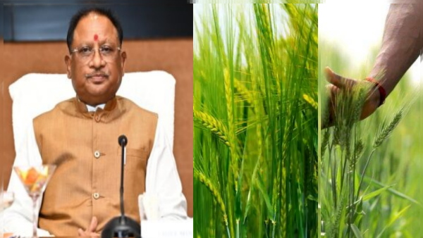 chhattisgarh news jpg