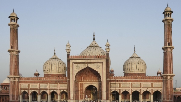 Delhi Jama Masjid Survey