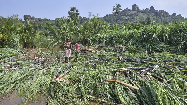 Bihar Farmers Can Apply for Up to INR 3 65 Lakh Subsidy for Drone Technology in Agriculture