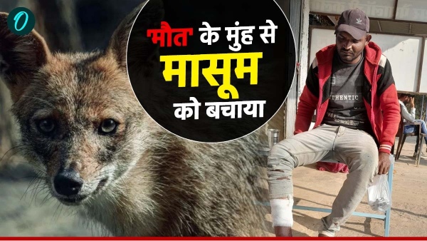 maher jackal attack news