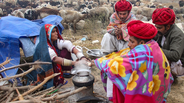 rajasthan weather update Cold Wave Alert