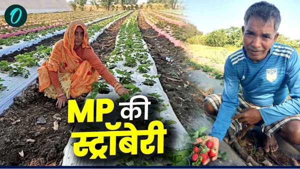 Jhabua