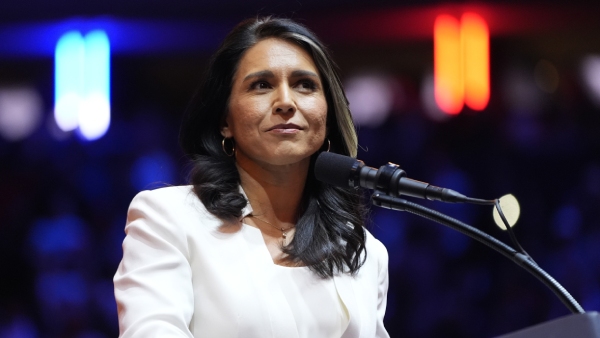 Tulsi Gabbard News Tulsi Gabbard News