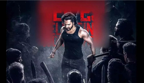 Varun Dhawan movie Baby John is not a remake of Thalapathy Vijay Theri