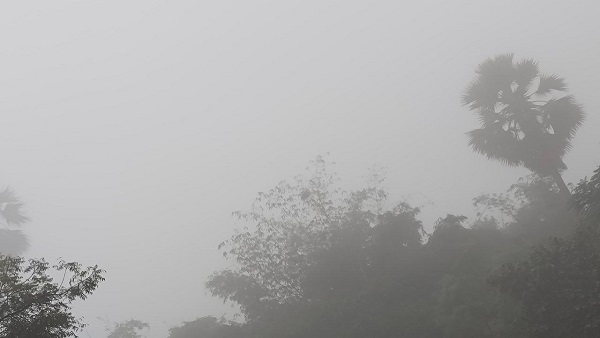 Cold Wave and Dense Fog Forecast with Temperatures Dropping to 4 C Bihar Weather Update