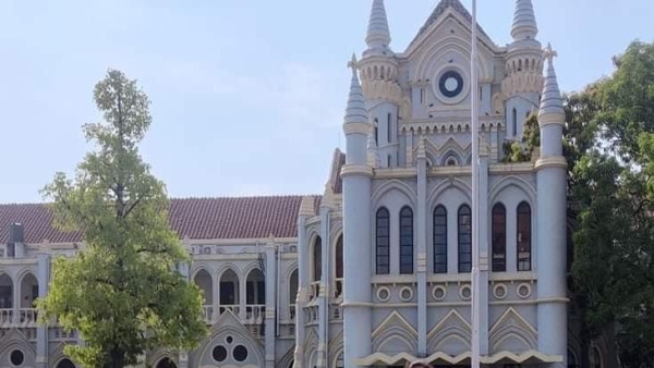MP High Court sentenced Rajasthan youth to plant 50 saplings suggestion taken from advocate MP High Court sentenced Rajasthan youth to plant 50 saplings suggestion taken from advocate