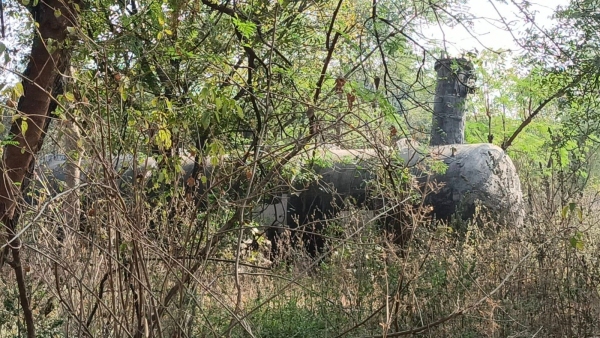 Gas kand Work to remove toxic waste of Union Carbide factory begins execution in Pithampur