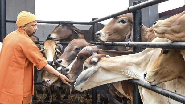 UP CM Yogi Adityanath