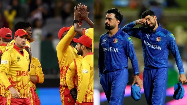 zim and afg zim and afg