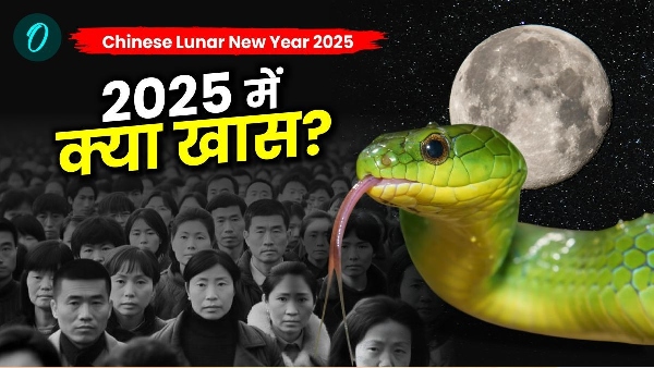 Chinese Lunar New Year 2025