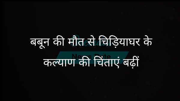  बबून की मौत से चिड़ियाघर के कल्याण की चिंताएं बढ़ीं