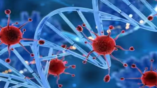 Jammu Kashmir mysterious Virus Jammu Kashmir mysterious Virus