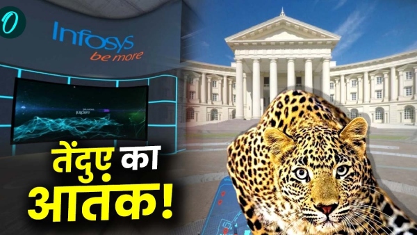 Leopard Terror in Infosys Mysore Leopard Terror in Infosys Mysore