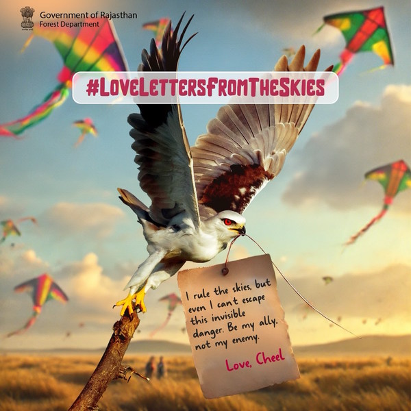 Makar Sankranti Jaipur Rajasthan Makar Sankranti Jaipur Rajasthan