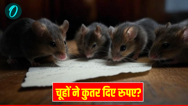Bareilly Bribery Scandal Head Constable UP Police