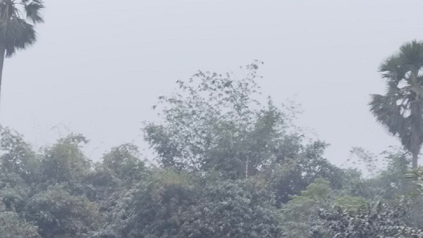 Bihar Weather News Today