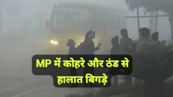 Fog and cold wreak havoc bus accident weather department advised holiday in schools