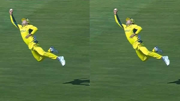 Alex Carey takes a sensational catch