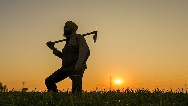 Farmers Subsidy News Hindi Farmers Subsidy News Hindi