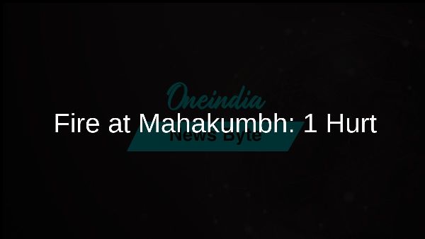 Fire at Mahakumbh: 1 Hurt