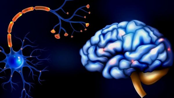 Guillain-Barre Syndrom Guillain-Barre Syndrom