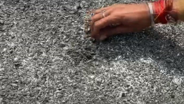 Irregularities in the construction of Ambedkar flyover in Bhopal two officers suspended