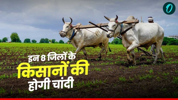 good news for kisan of madhya pradesh farmers contract for potato farming from PepsiCo good news for kisan of madhya pradesh farmers contract for potato farming from PepsiCo