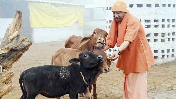 UP CM Yogi Adityanath