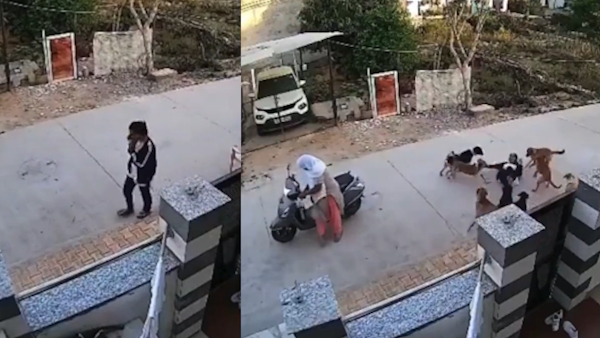 Attack on Woman in JK Nagar Alwar Attack on Woman in JK Nagar Alwar