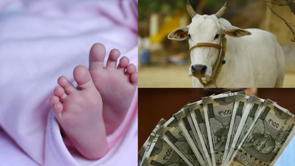 Andhra Pradesh Andhra Pradesh