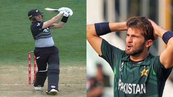nz vs pak nz vs pak