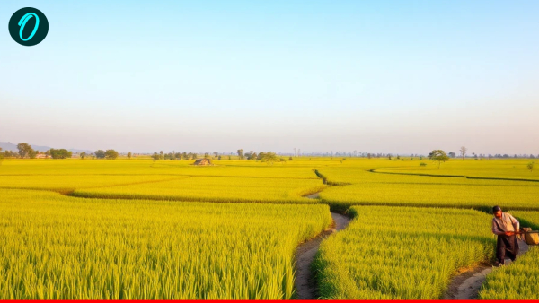 meerut-property-rates-hike-circle-rates meerut-property-rates-hike-circle-rates