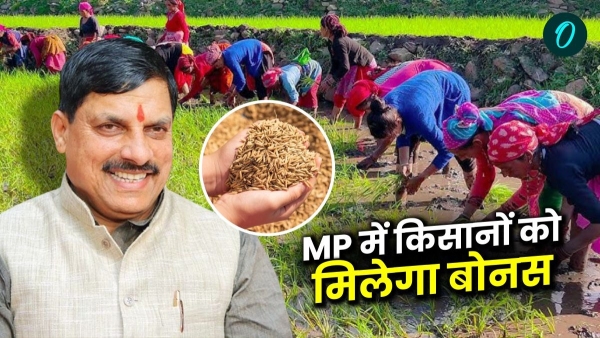 Important decision of Mohan Yadav cabinet for farmers approval regarding bonus on wheat and paddy Important decision of Mohan Yadav cabinet for farmers approval regarding bonus on wheat and paddy