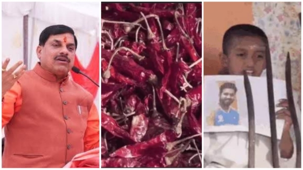 Champions Trophy Final Chilli Yagna for India victory 51 priests performed ritual CM Mohan Yadav statement