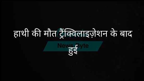  हाथी की मौत ट्रैंक्विलाइज़ेशन के बाद हुई