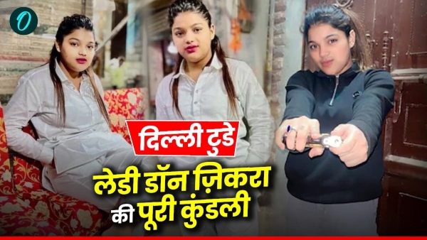 Delhi Toady