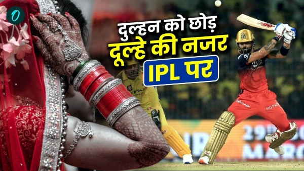 IPL News