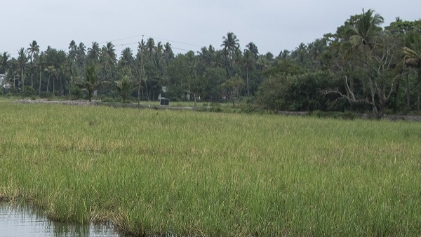 Jaivik Kheti Bihar Samachar