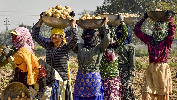 Bihar Ration Card Holders