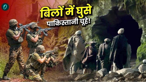 Pakistan hides terrorists
