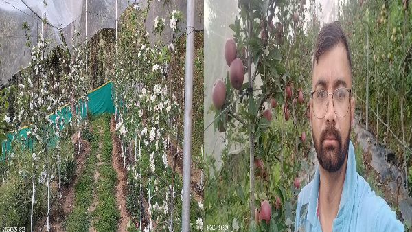 Success Story Kamal Champawat wonders person running small shop became inspiration self-employment